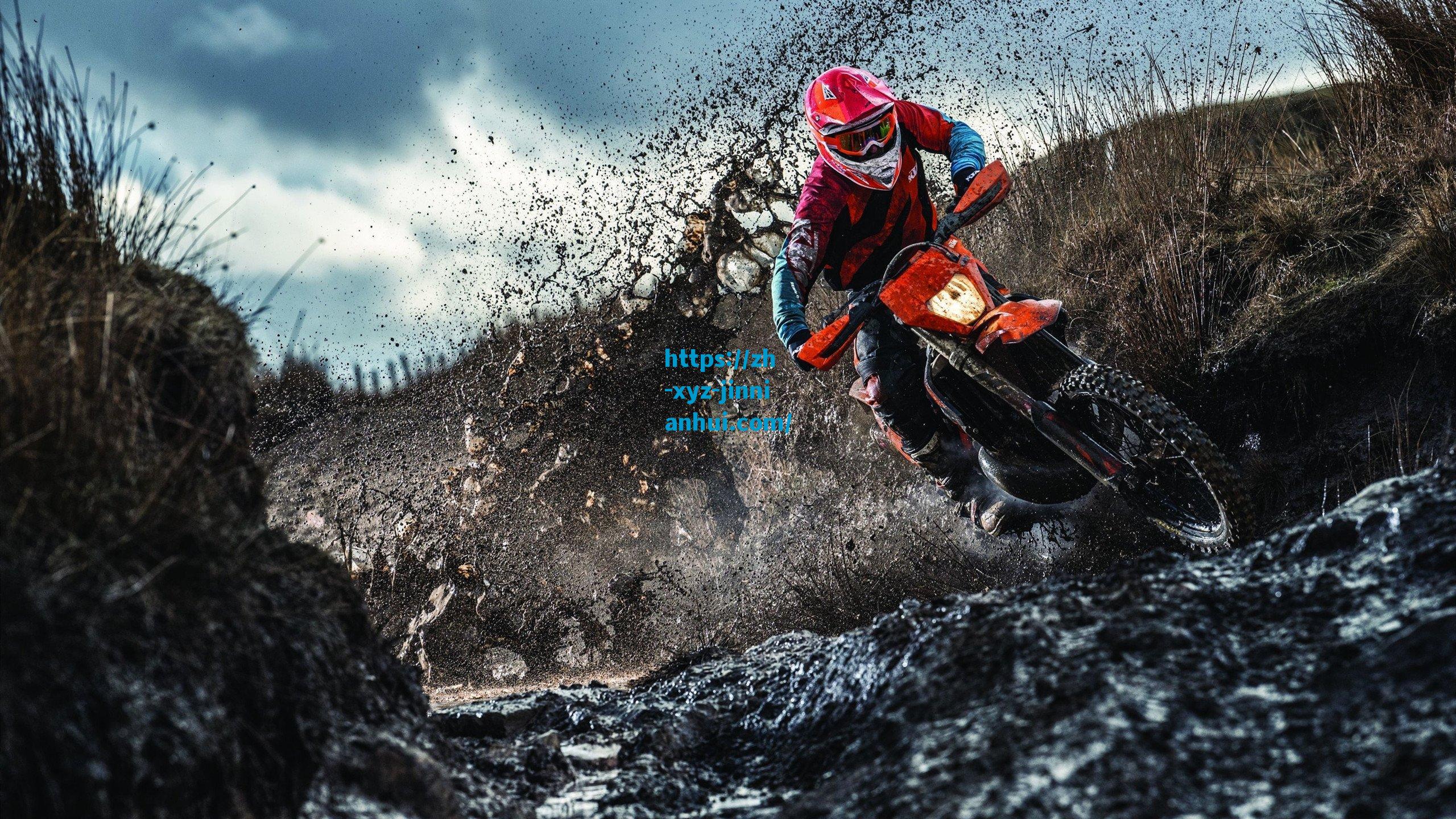 从亿元新星到低谷重生,一位球员的登峰造极之路